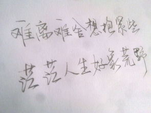 好看字体生成器，好看字体图片