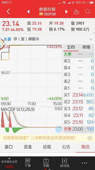 中签500股一般能挣多少,发行价4元，中签新股后几天开始交易上市