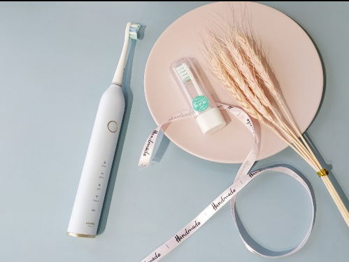 牙线棒的正确使用方法视频，牙线棒品牌排行榜前十名