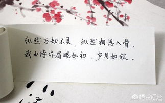 岁月如故眉眼如初什么意思，岁月如故却不如初什么意思