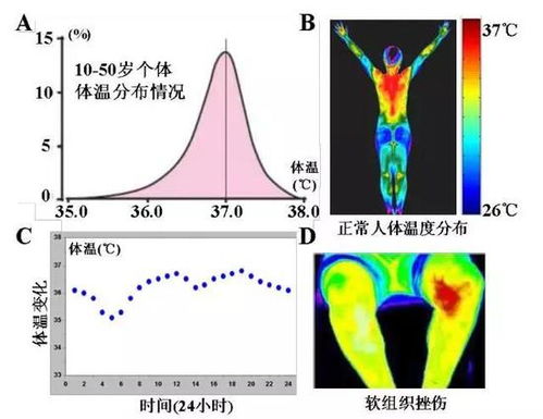 人的体温正常多少度，人体温度35.5正常吗