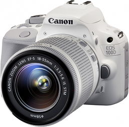 佳能100微距镜头，佳能100-400