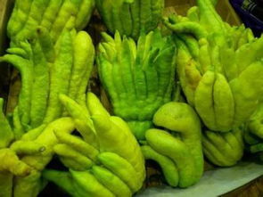 佛手的吃法和功效，佛手的吃法和做法大全