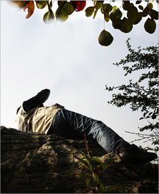 天将晓,莫道君行早全诗，天将晓战士醒来早