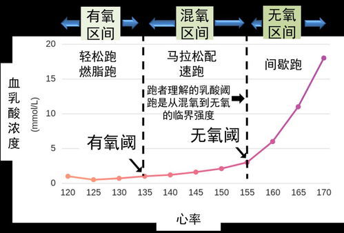 一平方米等于多少平方千米的进率是多少，一平方米等于多少公顷