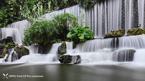 行云流水可以形容什么动物，行云流水可以形容什么意思