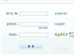 建行网银登陆密码忘记了怎么办，建行网银登陆密码