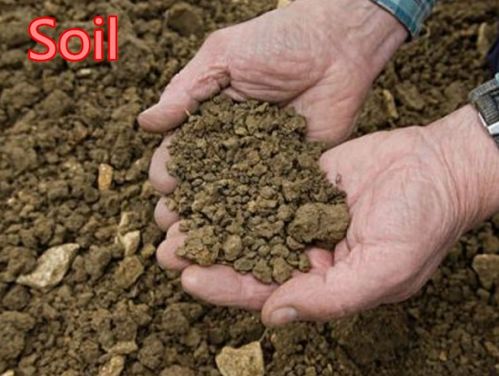 泥土的英文怎么说我的世界?，泥土的英文名是什么