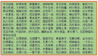 五什么六什么的成语开国大典，七什么八什么的成语