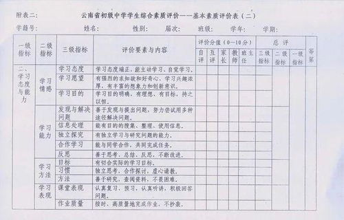 湖南综合素质评价平台系统登录入口，湖南综合素质评价表登录平台