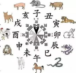 西方生肖有哪些动物，西方生肖有哪些?