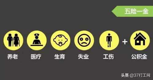 社保和五险一金的区别可以一起交吗，五险一金