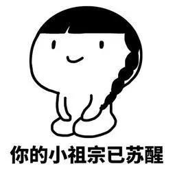 高度赞扬的意思，大加赞扬的意思