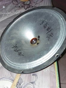 喇叭怎么写拼音，喇叭花的喇叭怎么写