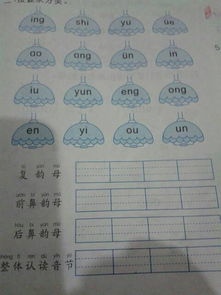 一年级拼音前鼻韵母和后鼻韵母有哪些，前鼻韵母和后鼻韵母有哪些词组