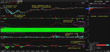 举牌概念股票是好，举牌概念股票为什么不涨