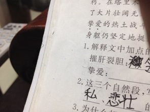 挚爱的意思，挚友的意思
