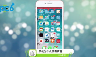 苹果手机为什么突然没有声音了，华为手机为什么突然没有声音了