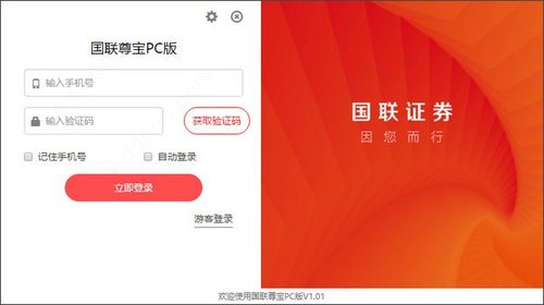 国联尊宝电脑版官网，国联尊宝电脑版在哪里看总资金