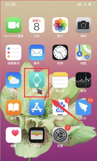 扫一扫识别手表价格是什么APP，扫一扫识别手表价格