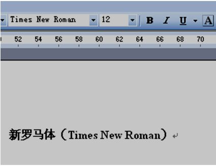 新罗马体在哪里?word，新罗马体12号