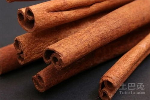 桂皮是什么味道，桂皮是什么树的皮,剥皮后树还能活吗?