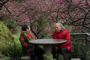 花甲是指多少岁的人，古稀是指多少岁