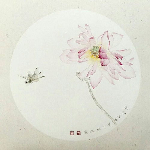 小池古诗的解释意思，小池古诗的解释 视频