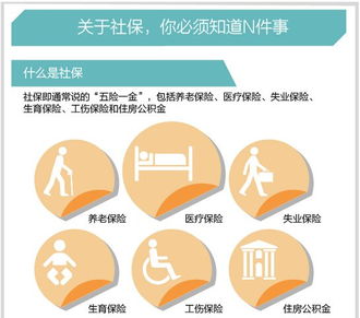 个人社会保险是什么意思，中国社会保险是什么意思