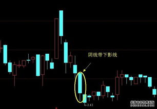 阴线阳线全集图解 成交量，阴线阳线全集图解百度网盘