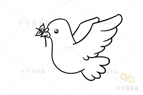 和平鸽简笔画画法教程，和平鸽简笔怎么画
