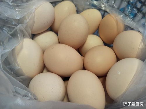 怎么保存鸡蛋半年不坏，鸡蛋放冰箱4个月没坏