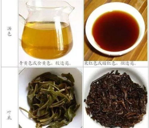 普洱生茶的功效与作用禁忌