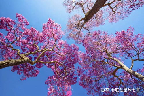 形容夏天的四字词语，形容春天的四字词语