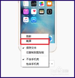 苹果6s怎么截屏 截图方法，苹果6s怎么截屏快捷键
