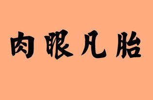 含有数字的词语四字词语全部，含有数字的词语四字词语的成语