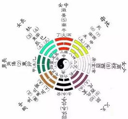 测五行缺什么免费查询，测五行缺什么