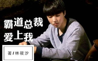 关于霸道总裁的电视剧有哪些，王耀庆主演霸道总裁的电视剧有哪些