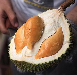 榴莲热量高吗
