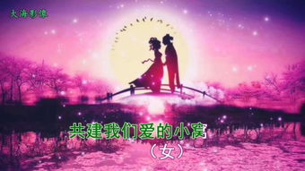红尘有你
