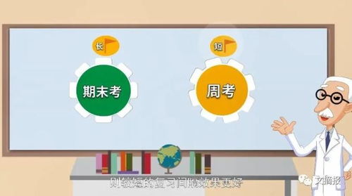 “事倍功半”与“事半功倍”分别是什么意思?