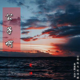 我会在你身边你左右是什么歌

