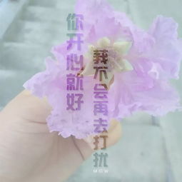 电视剧《我的父亲母亲》片尾曲/主题曲叫什么