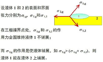 什么是亲水基