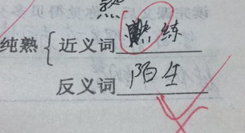 纯熟的反义词
