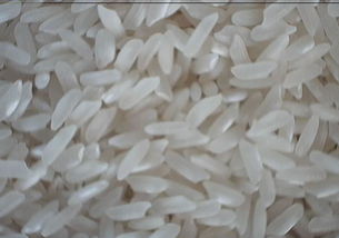 籼米是什么意思,籼米的拼音怎么写,籼米怎么读