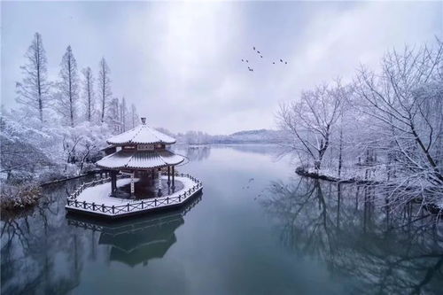 上下一白(打一字)