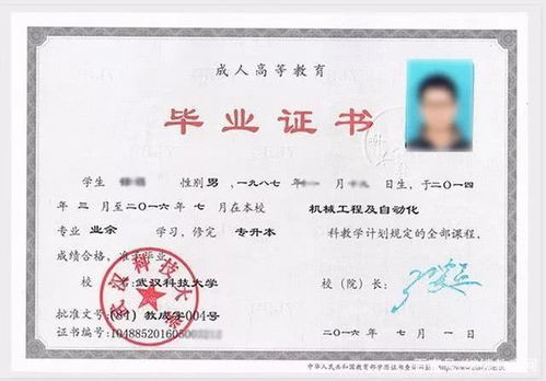 函授是什么意思