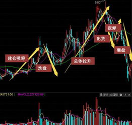 股票中的主力指的是什么?_?