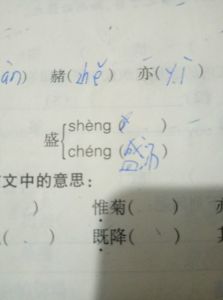 盛的组词
